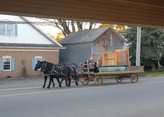 Who are the Amish?